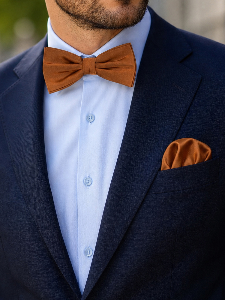 Brown bow tie & hanky