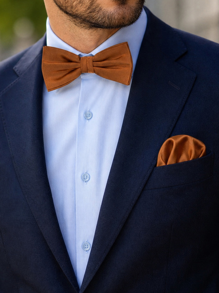 Brown bow tie & hanky