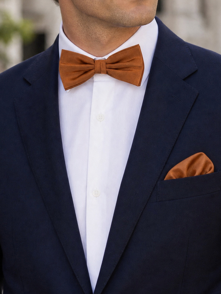 Brown bow tie & hanky
