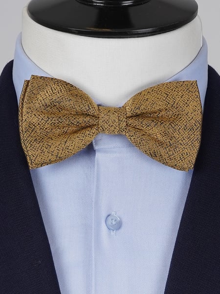 Guldfluga Gatsby