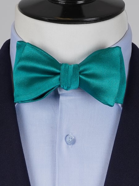 Teal selvbinder butterfly