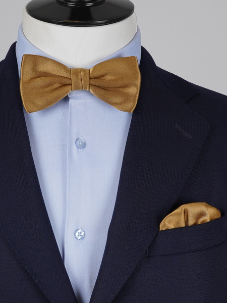 Laço castanho dourado & lenço de bolso