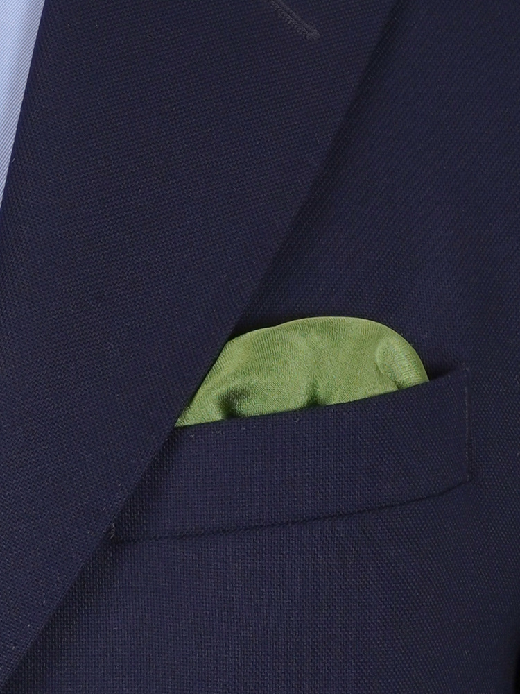 Hellolivgrüne Fliege & Einstecktuch