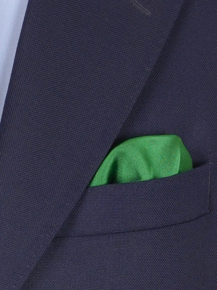 Grüne Fliege & Einstecktuch